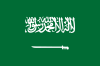DL/DTL Disposable Vape Shisha POD Saudi Arabic