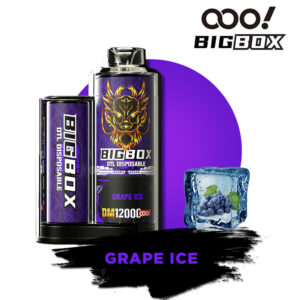 OOO! BIGBOX DTL/DL E-papierosy Jednorazowe Vape POD Shisha 12000 Puffs 25ml Regulowany przepływ powietrza i akumulator do ładowania