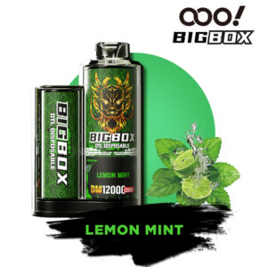 OOO! BIGBOX DTL/DL E-papierosy Jednorazowe Vape POD Shisha 12000 Puffs 25ml Regulowany przepływ powietrza i akumulator do ładowania